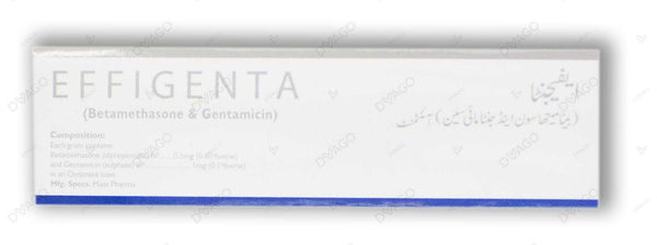 Effigenta Ointment 15Gm